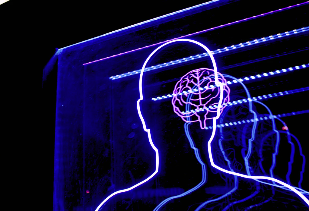 neon display of human body and brain