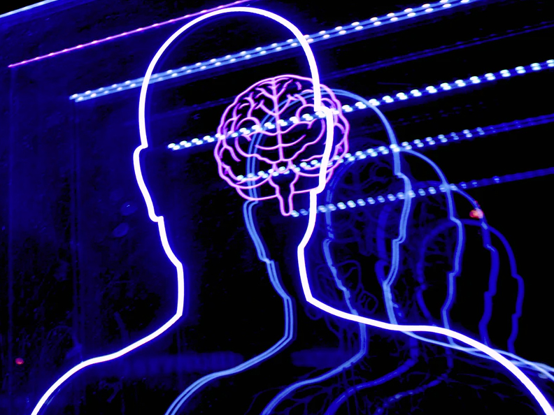 neon display of human body and brain