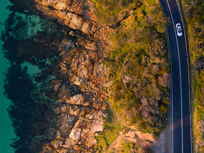 Road winding through forest