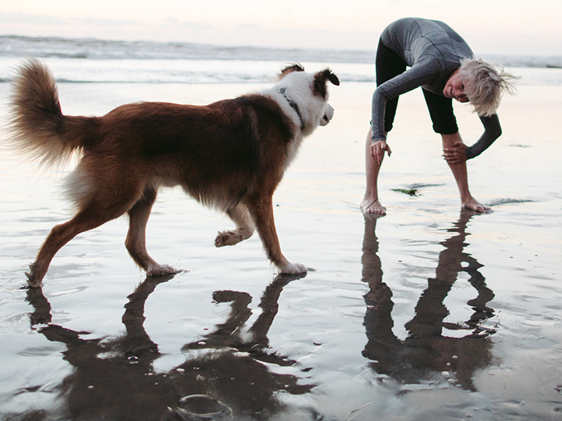 Mature woman playing with dog on beach at sunset